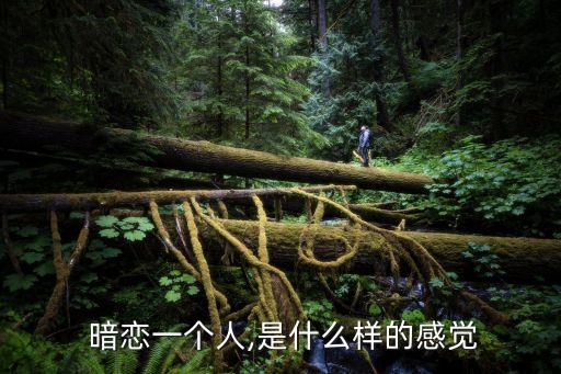 暗戀一個(gè)人,暗戀一個(gè)人的心情筆記（四）