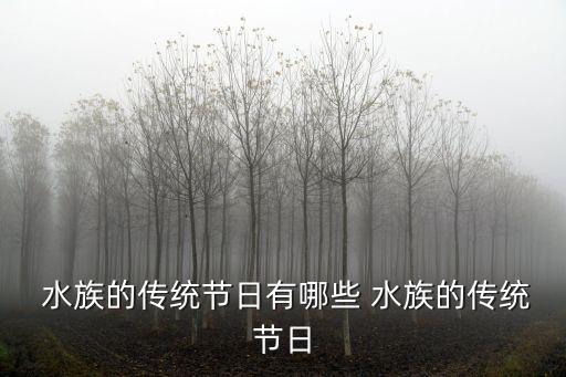 水族端節,端節是水族最隆重盛大節日有必要挖掘節日教育價值
