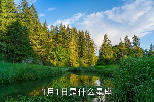 1月1日是什么星座