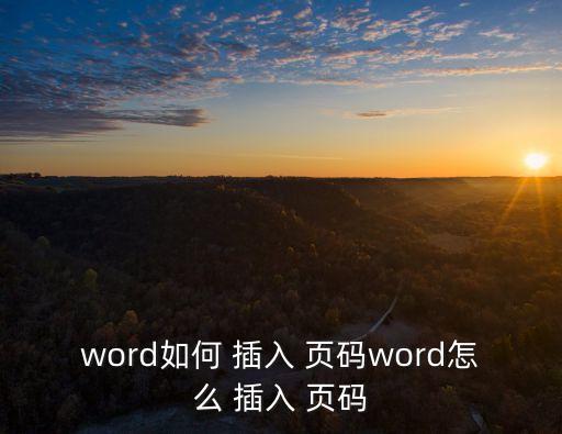 word如何 插入 頁碼word怎么 插入 頁碼