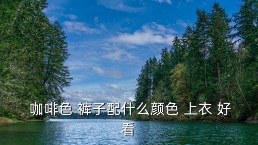  咖啡色 褲子配什么顏色 上衣 好看
