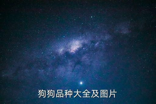 大丹犬圖片,中國山東岱宗朱樵良種犬70年代被引進