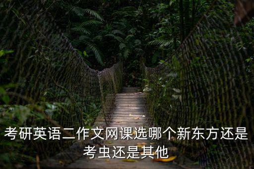 考研英語二作文網課選哪個新東方還是考蟲還是其他
