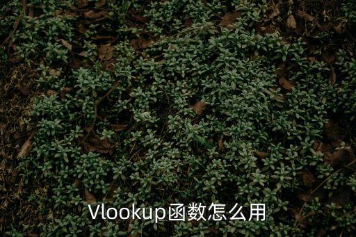 vlookup函數用法，Vlookup函數怎么用