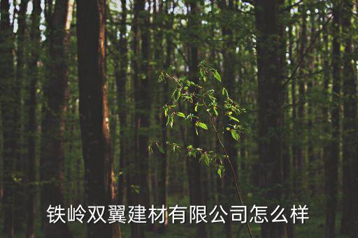 高艷玲,蘆葦可以飛行鐵嶺之翼建材有限公司注冊成立