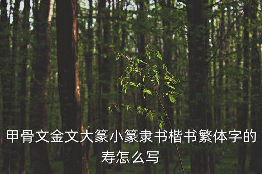 壽書法，甲骨文金文大篆小篆隸書楷書繁體字的壽怎么寫