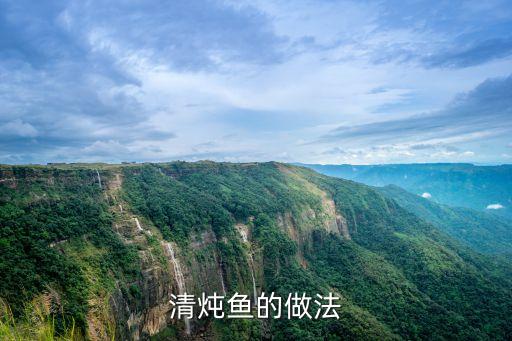 清燉魚的做法