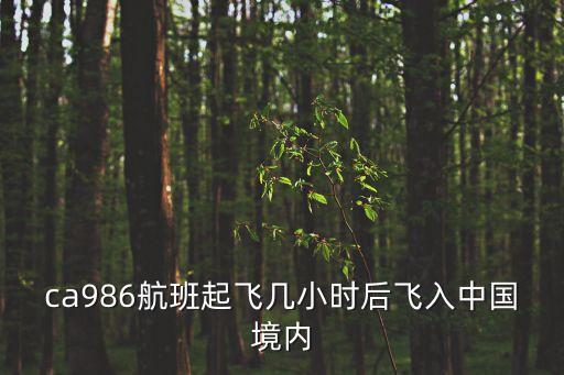 ca986航班起飛幾小時后飛入中國境內