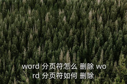  word 分頁符怎么 刪除 word 分頁符如何 刪除