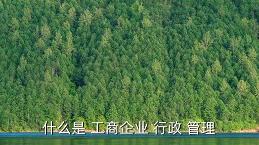 什么是 工商企業 行政 管理