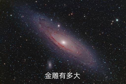 金雕有多大