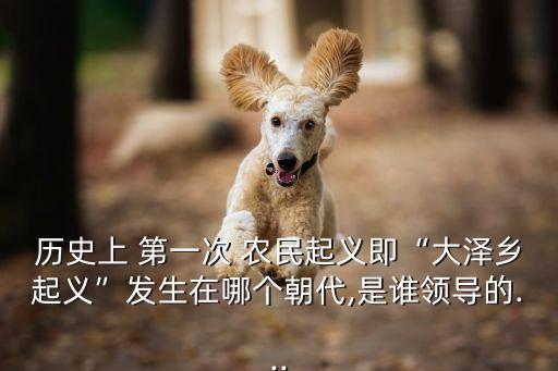 歷史上 第一次 農民起義即“大澤鄉起義”發生在哪個朝代,是誰領導的...