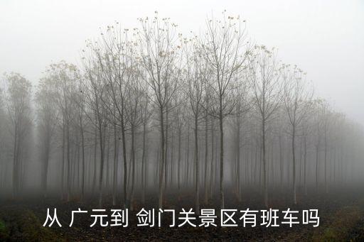 從 廣元到 劍門關景區有班車嗎