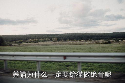養貓為什么一定要給貓做絕育呢