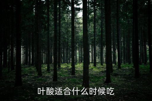 葉酸適合什么時候吃
