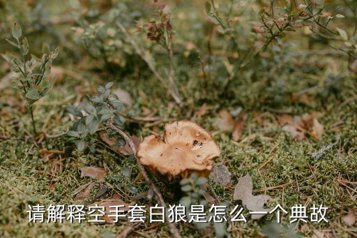 請解釋空手套白狼是怎么一個典故