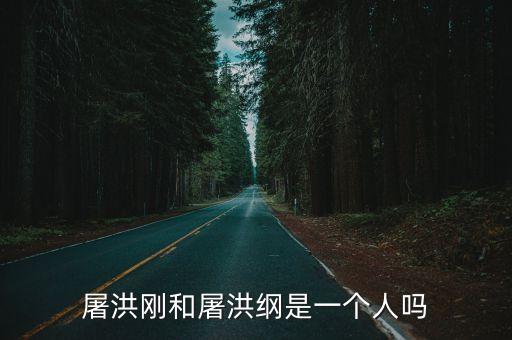 屠洪綱，屠洪綱原來是干什么的