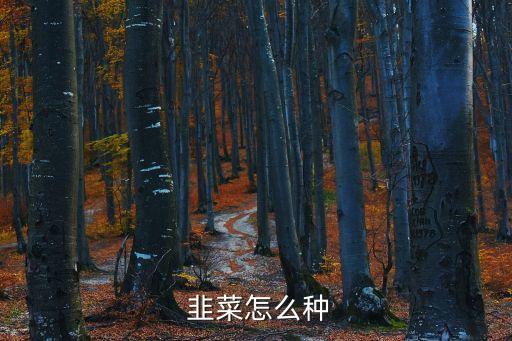 如何種韭菜,春節(jié)將至!家庭自助種菜網(wǎng)民可自行種菜
