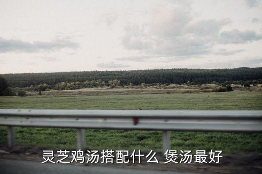  靈芝雞湯搭配什么 煲湯最好