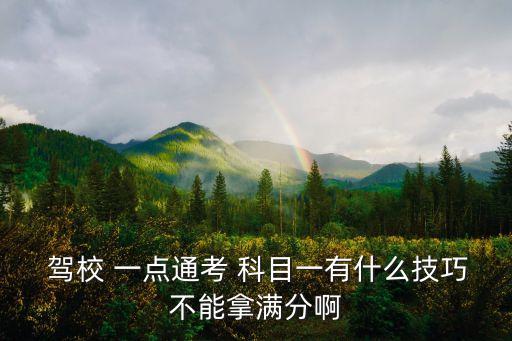  駕校 一點通考 科目一有什么技巧不能拿滿分啊