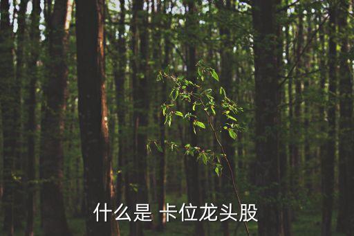 什么是 卡位龍頭股