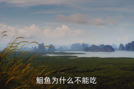 孕婦不能吃什么魚,不能吃泥鰍的泥鰍是什么來頭?