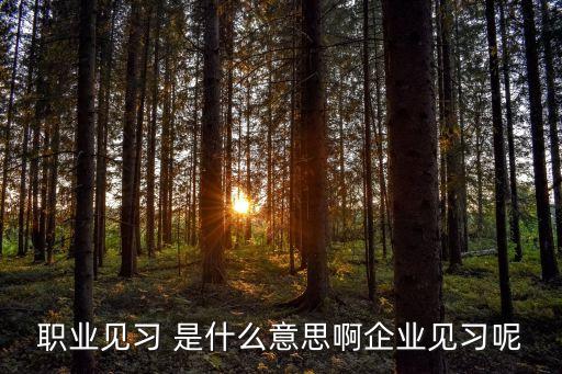 職業見習 是什么意思啊企業見習呢