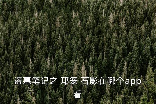 邛籠石影,50年后盜墓賊發現墓穴藏寶圖