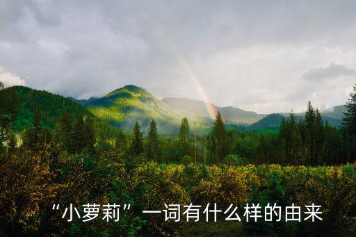 “小蘿莉”一詞有什么樣的由來(lái)