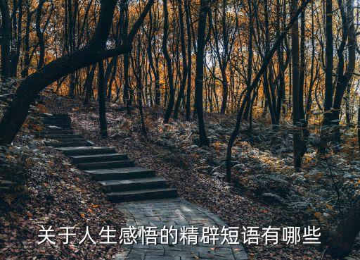 關(guān)于人生感悟的精辟短語有哪些