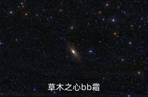 草木之心bb霜