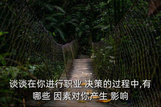 談談在你進行職業 決策的過程中,有哪些 因素對你產生 影響