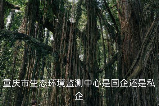 重慶市生態環境監測中心是國企還是私企