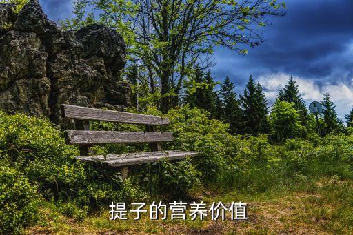  提子的營養價值