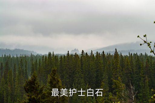 最美護(hù)士，最美護(hù)士白石
