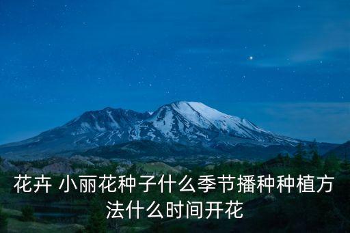 花卉 小麗花種子什么季節(jié)播種種植方法什么時(shí)間開花