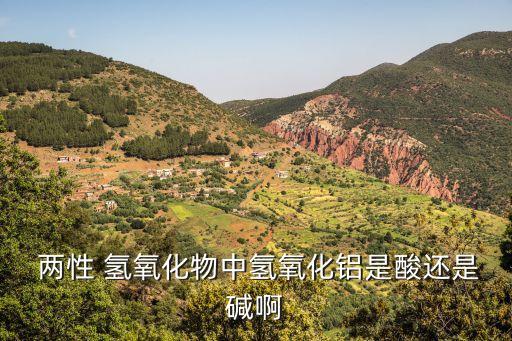  兩性 氫氧化物中氫氧化鋁是酸還是堿啊