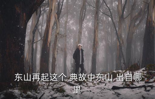  東山再起這個 典故中東山 出自哪里