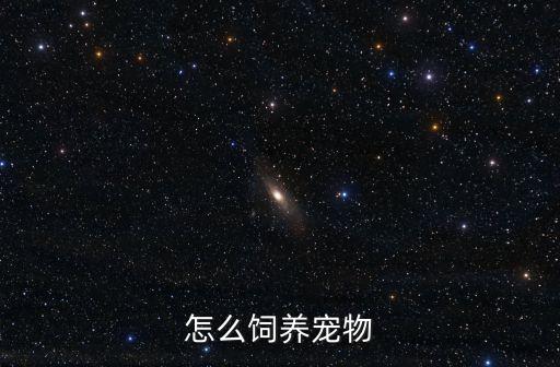 怎么飼養寵物