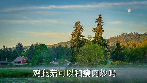  雞腿菇可以和瘦肉炒嗎