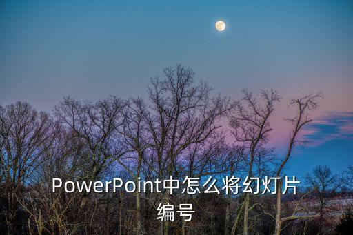 PowerPoint中怎么將幻燈片編號