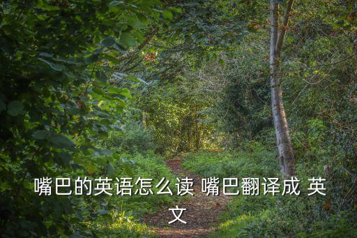  嘴巴的英語怎么讀 嘴巴翻譯成 英文