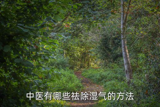 中醫有哪些祛除濕氣的方法