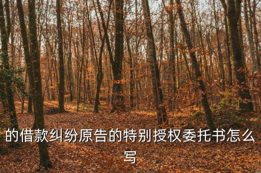 的借款糾紛原告的特別授權委托書怎么寫