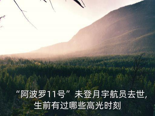 孤獨(dú)的照片,宇航員邁克爾·柯林斯因癌去世享年90歲