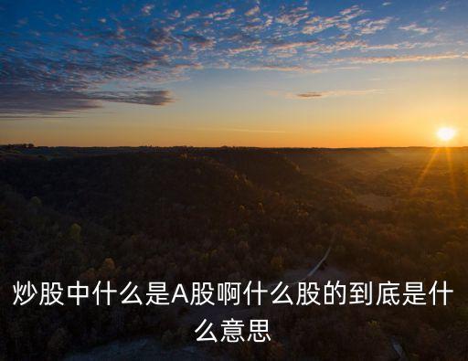 炒股中什么是A股啊什么股的到底是什么意思