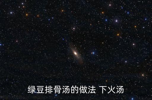 綠豆排骨湯的做法 下火湯