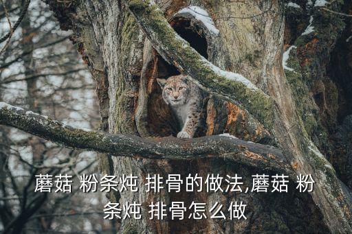 蘑菇 粉條燉 排骨的做法,蘑菇 粉條燉 排骨怎么做