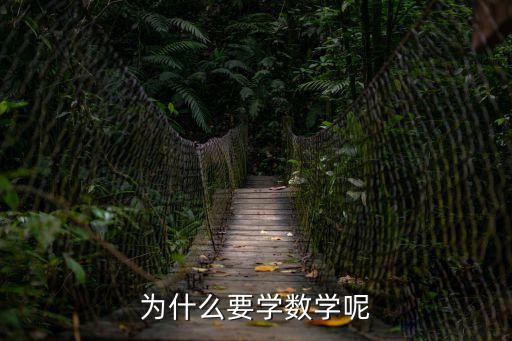 為什么要學數學呢
