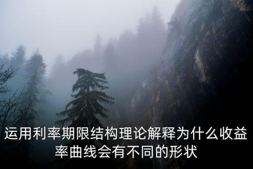 利率期限結構理論，簡述利率的期限結構